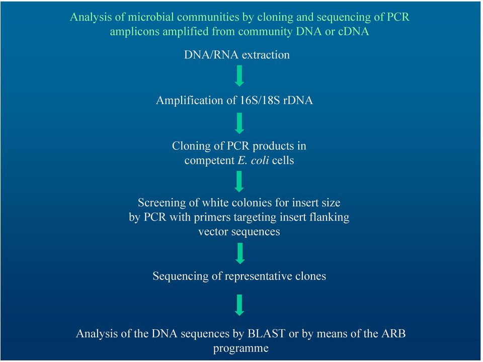 coli cells Screening of white colonies for insert size by PCR with primers targeting insert flanking