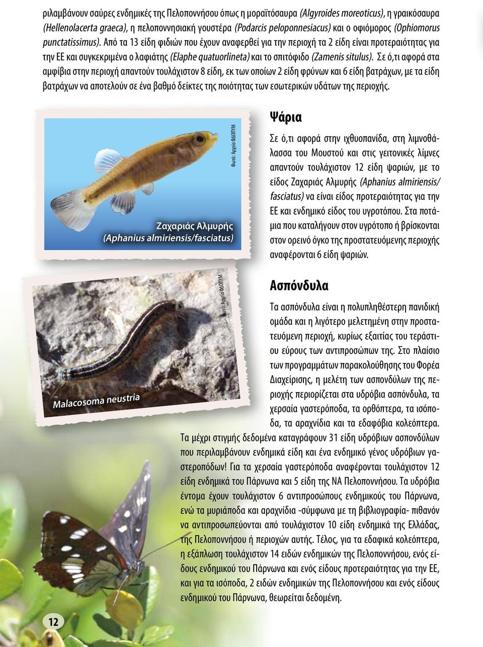 Από τα 13 είδη φιδιών που έχουν αναφερθεί για την περιοχή τα 2 είδη είναι προτεραιότητας για την ΕΕ και συγκεκριμένα ο λαφιάτης (Elaphe quatuorlineta) και το σπιτόφιδο (Zamenis situlus).