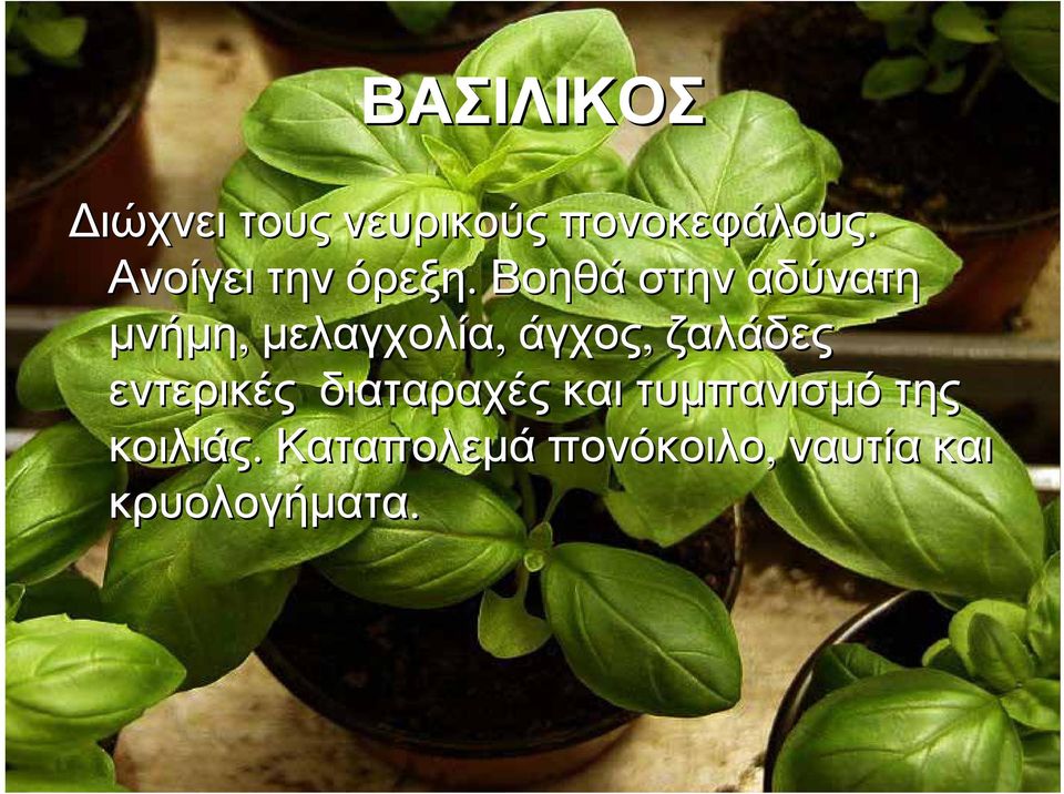 Βοηθά στην αδύνατη μνήμη, μελαγχολία, άγχος, ζαλάδες