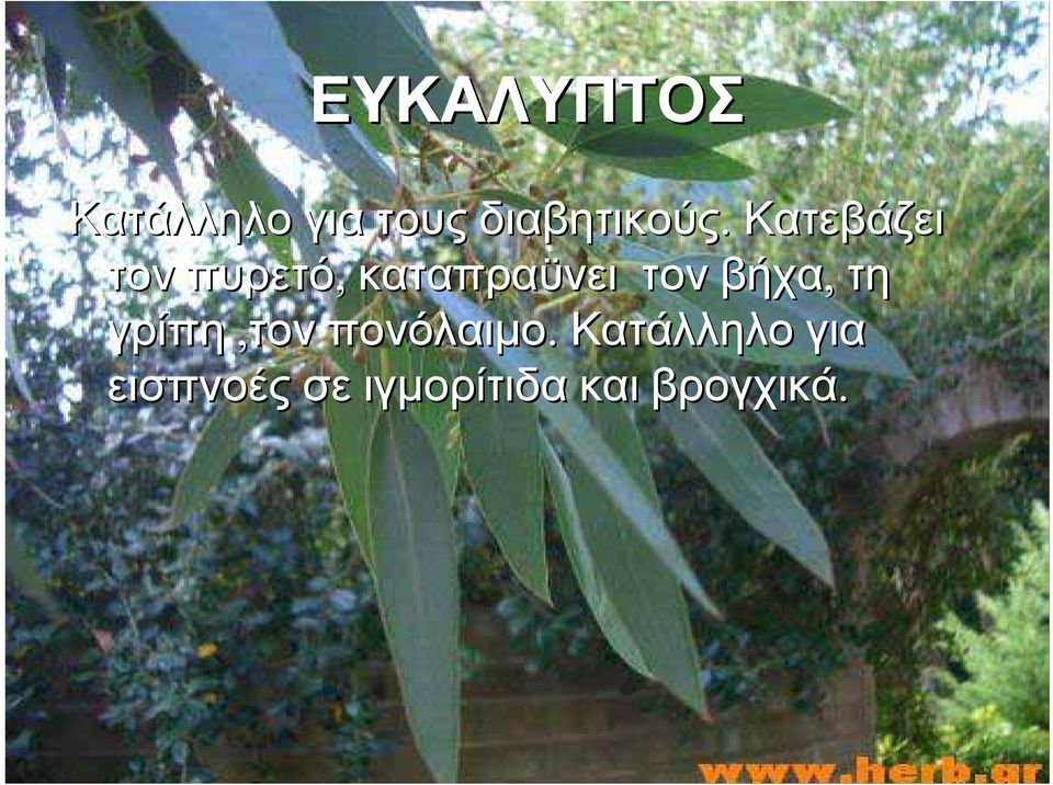 Κατεβάζει τον πυρετό, καταπραϋνει τον