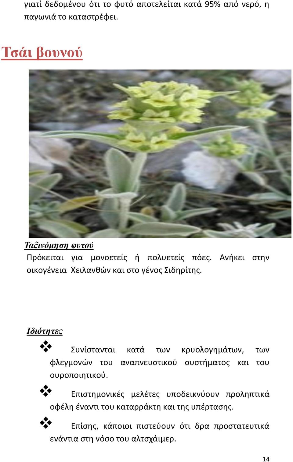 Ανήκει στην οικογένεια Χειλανθών και στο γένος Σιδηρίτης.