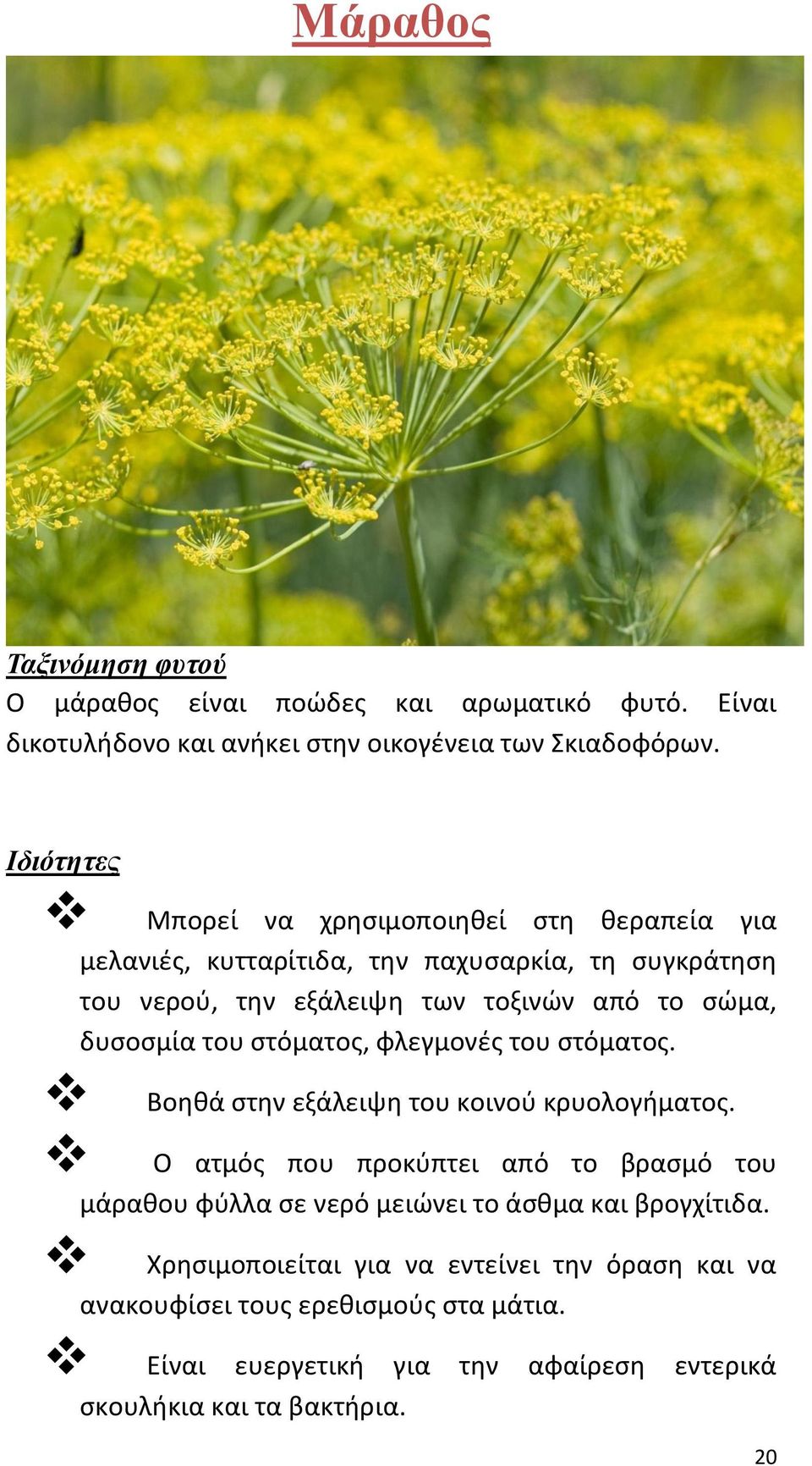 δυσοσμία του στόματος, φλεγμονές του στόματος. Βοηθά στην εξάλειψη του κοινού κρυολογήματος.