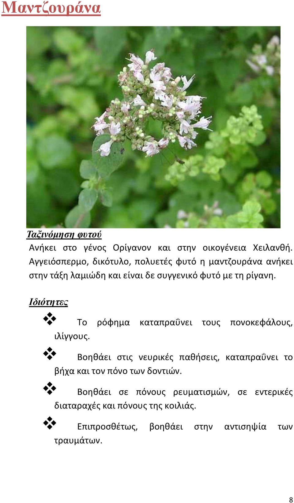 Ιδιότητες Το ρόφημα καταπραΰνει τους πονοκεφάλους, ιλίγγους.