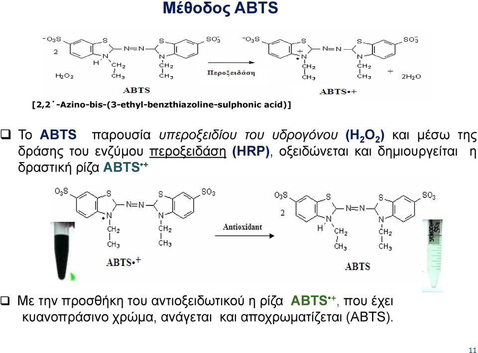 (HRP), οξειδώνεται και δημιουργείται η δραστική ρίζα ABTS + Με την προσθήκη του