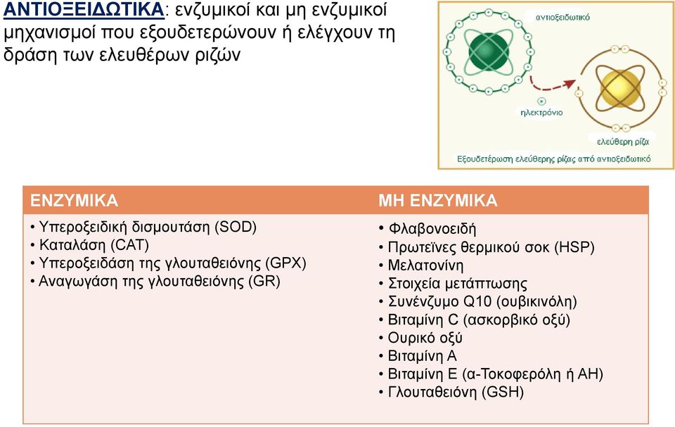 γλουταθειόνης (GR) ΜΗ ΕΝΖΥΜΙΚΑ Φλαβονοειδή Πρωτεϊνες θερμικού σοκ (HSP) Μελατονίνη Στοιχεία μετάπτωσης