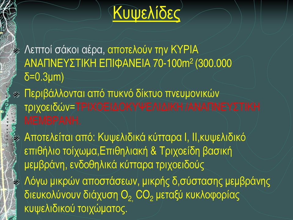 Αποτελείται από: Κυψελιδικά κύτταρα Ι, ΙΙ,κυψελιδικό επιθήλιο τοίχωμα,επιθηλιακή & Τριχοείδη βασική μεμβράνη,