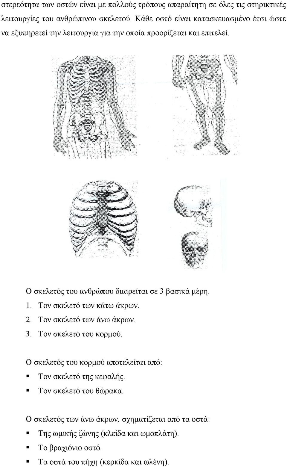 Ο σκελετός του ανθρώπου διαιρείται σε 3 βασικά μέρη. 1. Τον σκελετό των κάτω άκρων. 2. Τον σκελετό των άνω άκρων. 3. Τον σκελετό του κορμού.