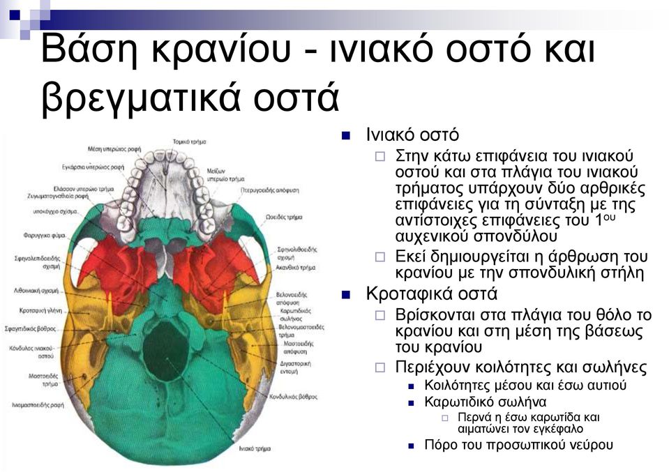 του κρανίου με την σπονδυλική στήλη Κροταφικά οστά Βρίσκονται στα πλάγια του θόλο το κρανίου και στη μέση της βάσεως του κρανίου Περιέχουν