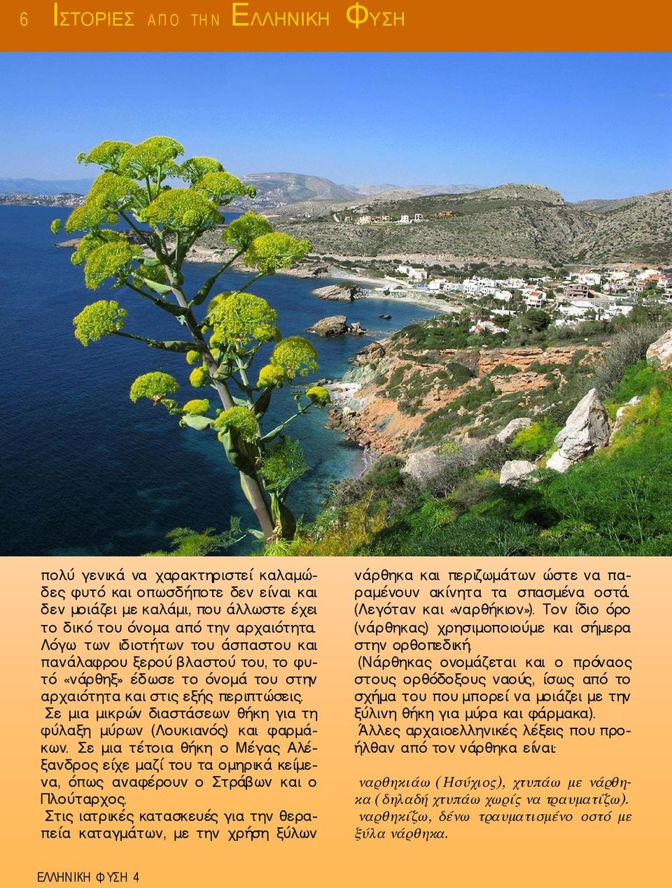 Σε μια μικρών διαστάσεων θήκη για τη φύλαξη μύρων (Λουκιανός) και φαρμάκων. Σε μια τέτοια θήκη ο Μέγας Αλέξανδρος είχε μαζί του τα ομηρικά κείμενα, όπως αναφέρουν ο Στράβων και ο Πλούταρχος.