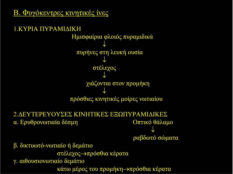 προµήκη πρόσθιες κινητικές µοίρες νωτιαίου 2. ΕΥΤΕΡΕΥΟΥΣΕΣ ΚΙΝΗΤΙΚΕΣ ΕΞΩΠΥΡΑΜΙ ΙΚΕΣ α.