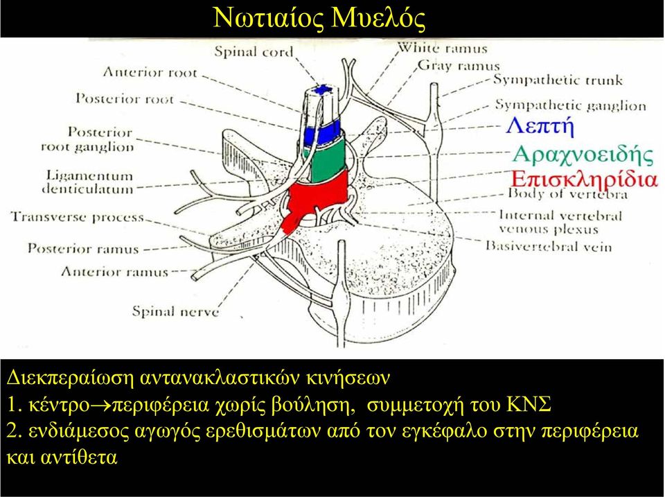 κέντρο περιφέρεια χωρίς βούληση, συµµετοχή του