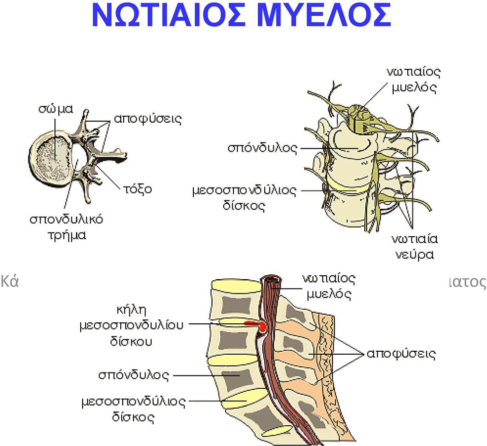 επεξεργαστείτε τον