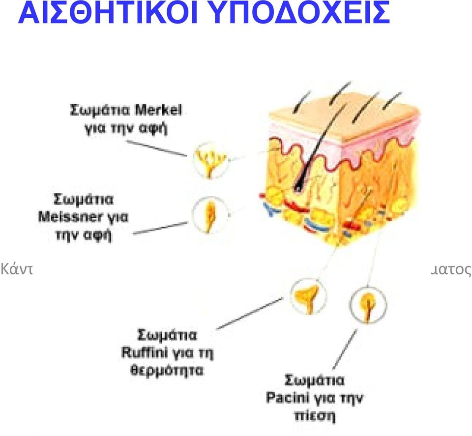 επεξεργαστείτε τον