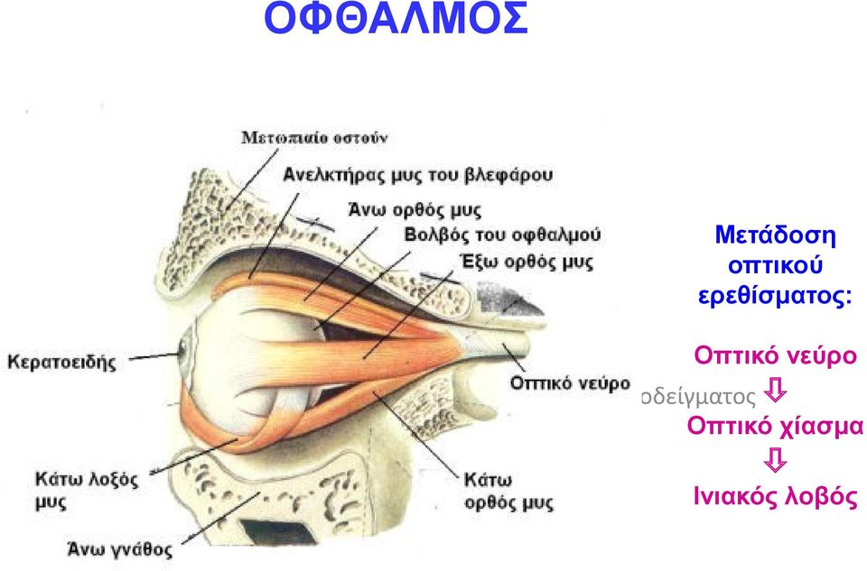 κλικ για να επεξεργαστείτε τον