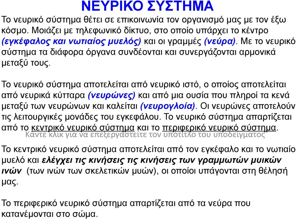 Με το νευρικό σύστημα τα διάφορα όργανα συνδέονται και συνεργάζονται αρμονικά μεταξύ τους.