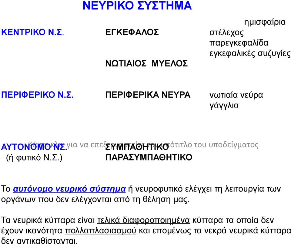 ΜΠΑΘΗΤΙΚΟ (ή φυτικό Ν.Σ.