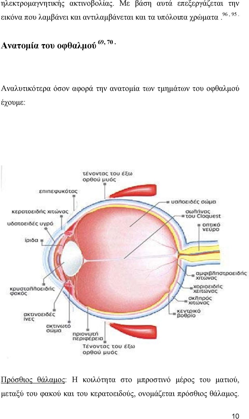 Αναλυτικότερα όσον αφορά την ανατομία των τμημάτων του οφθαλμού έχουμε: Πρόσθιος θάλαμος: Η