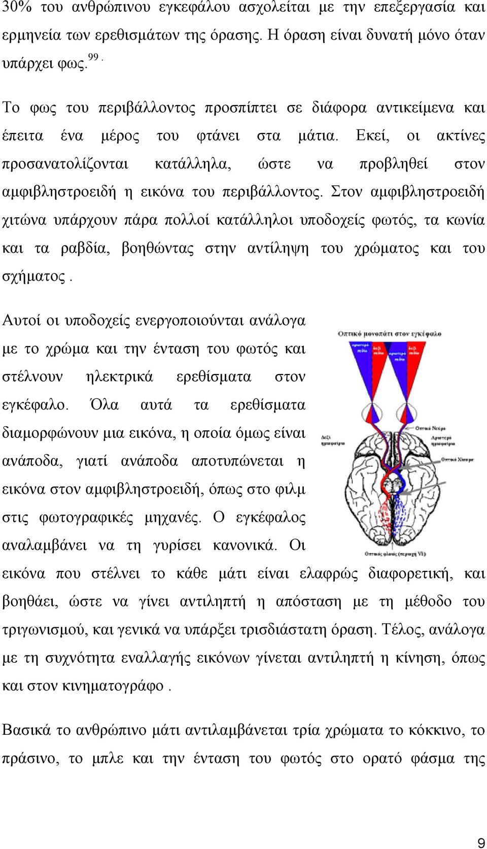 Εκεί, οι ακτίνες προσανατολίζονται κατάλληλα, ώστε να προβληθεί στον αμφιβληστροειδή η εικόνα του περιβάλλοντος.