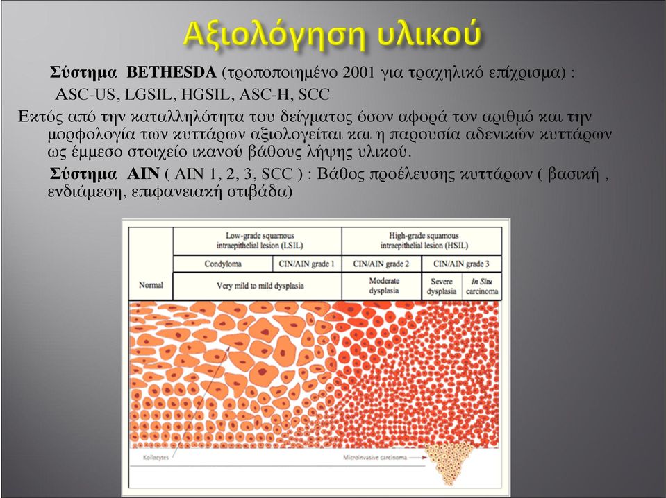 αξιολογείται και η παρουσία αδενικών κυττάρων ως έμμεσο στοιχείο ικανού βάθους λήψης υλικού.