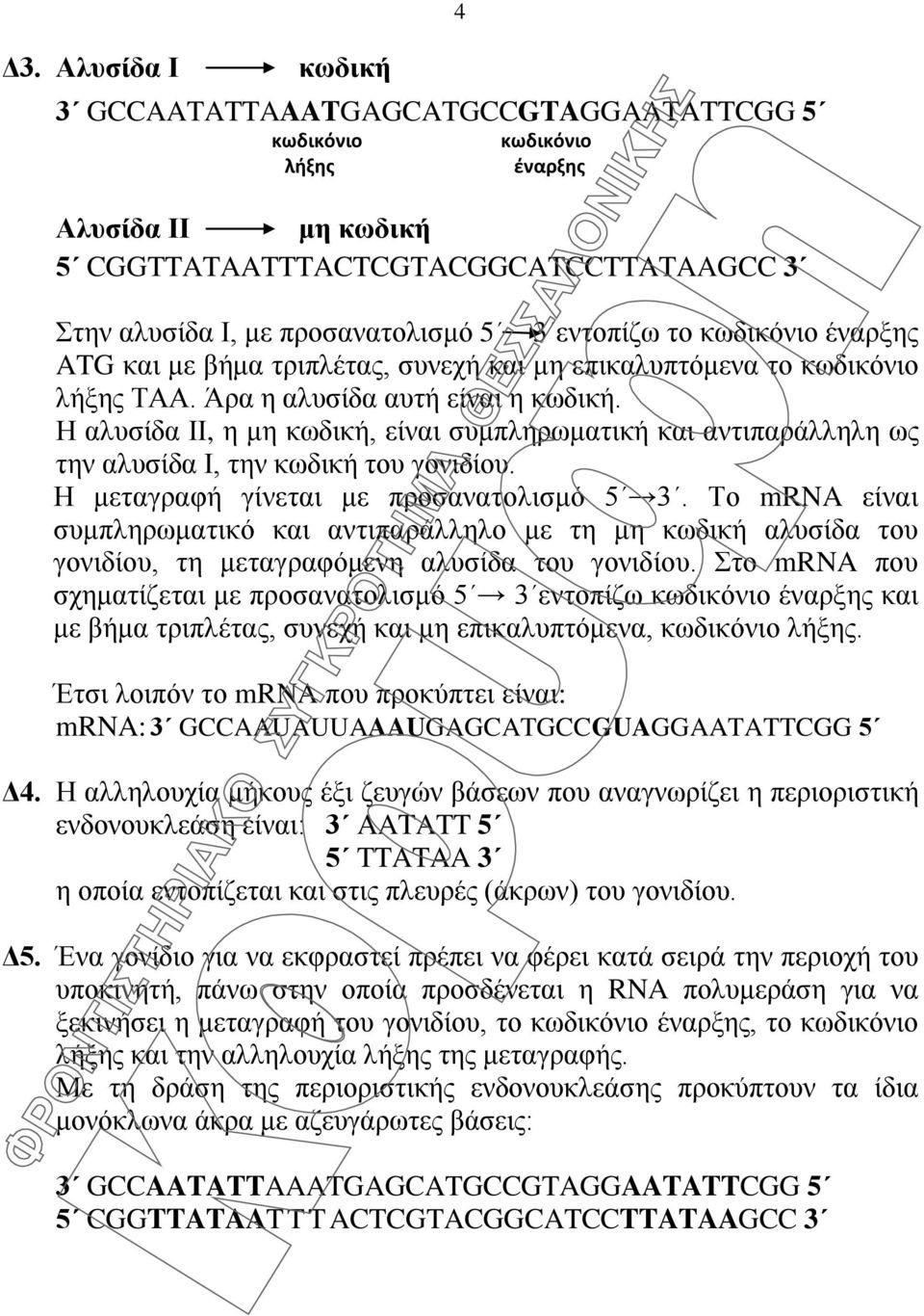 Η αλυσίδα ΙΙ, η μη κωδική, είναι συμπληρωματική και αντιπαράλληλη ως την αλυσίδα Ι, την κωδική του γονιδίου. Η μεταγραφή γίνεται με προσανατολισμό 5 3.