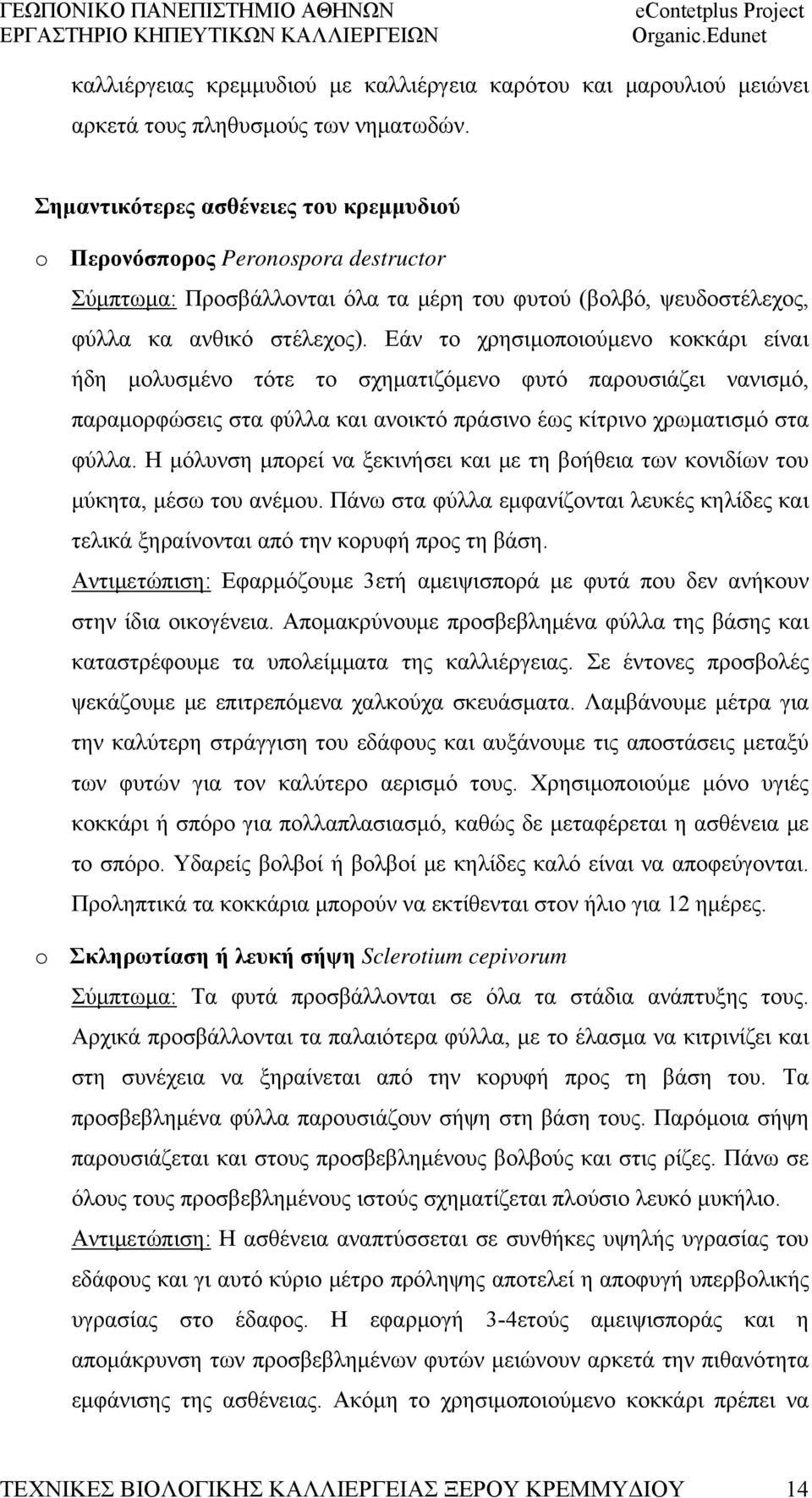 Εάν το χρησιμοποιούμενο κοκκάρι είναι ήδη μολυσμένο τότε το σχηματιζόμενο φυτό παρουσιάζει νανισμό, παραμορφώσεις στα φύλλα και ανοικτό πράσινο έως κίτρινο χρωματισμό στα φύλλα.