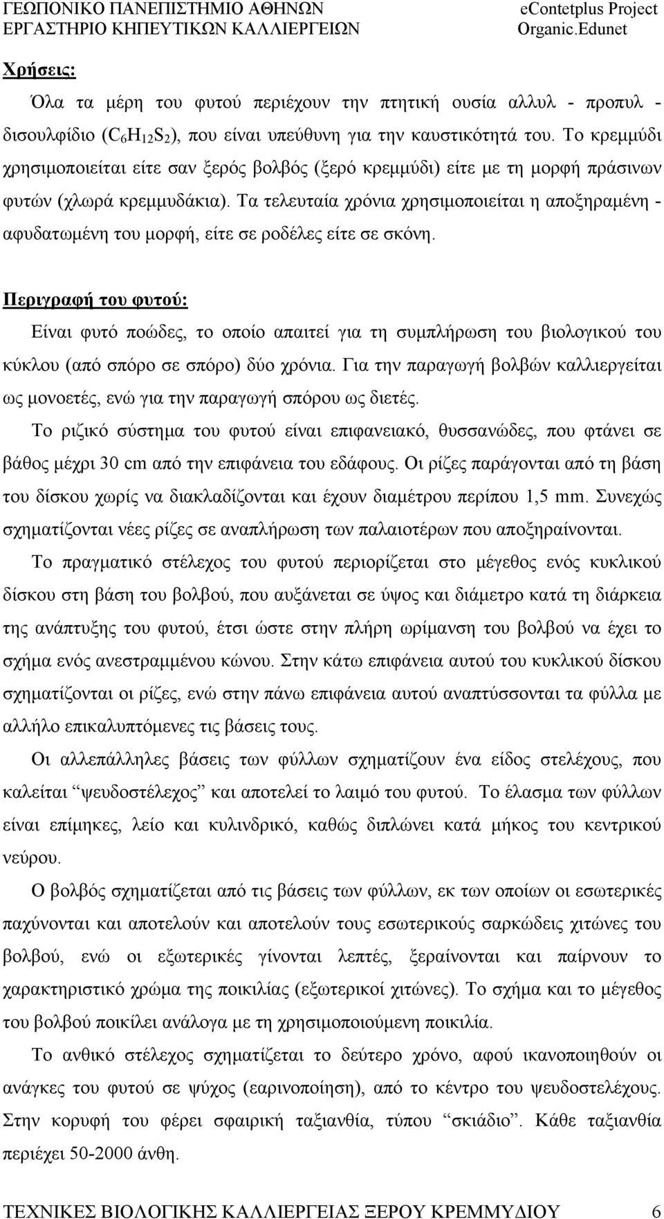 Τα τελευταία χρόνια χρησιμοποιείται η αποξηραμένη - αφυδατωμένη του μορφή, είτε σε ροδέλες είτε σε σκόνη.