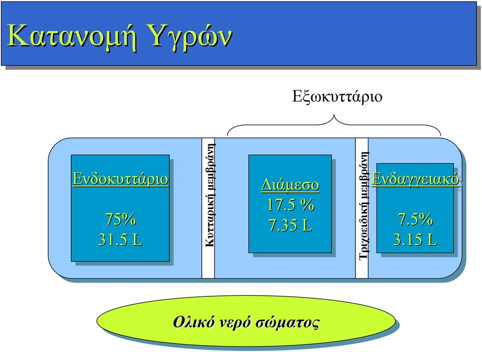 5 L Κυτταρική μεμβράνη Διάμεσο 17.