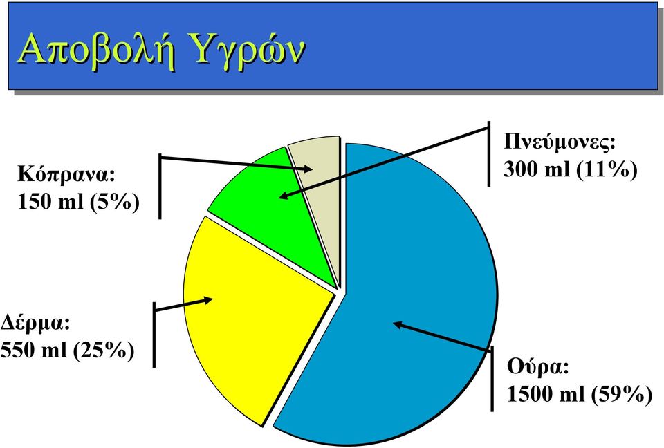 300 ml (11%) Δέρμα: 550