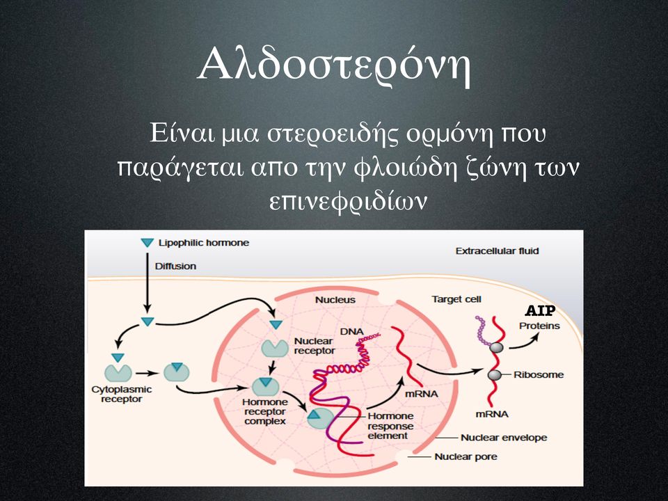 παράγεται απο την
