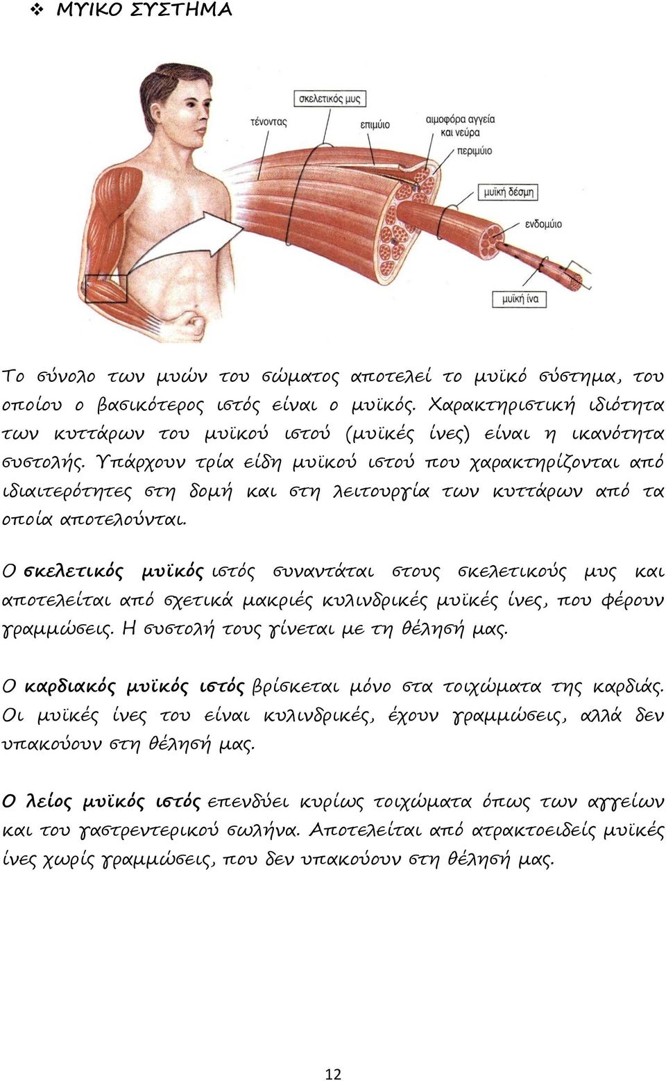 Υπάρχουν τρία είδη μυϊκού ιστού που χαρακτηρίζονται από ιδιαιτερότητες στη δομή και στη λειτουργία των κυττάρων από τα οποία αποτελούνται.