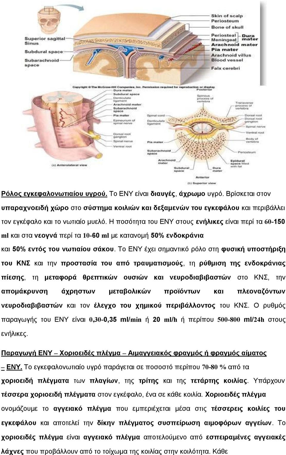 Το ΕΝΥ έχει σημαντικό ρόλο στη φυσική υποστήριξη του ΚΝΣ και την προστασία του από τραυματισμούς, τη ρύθμιση της ενδοκράνιας πίεσης, τη μεταφορά θρεπτικών ουσιών και νευροδιαβιβαστών στο ΚΝΣ, την