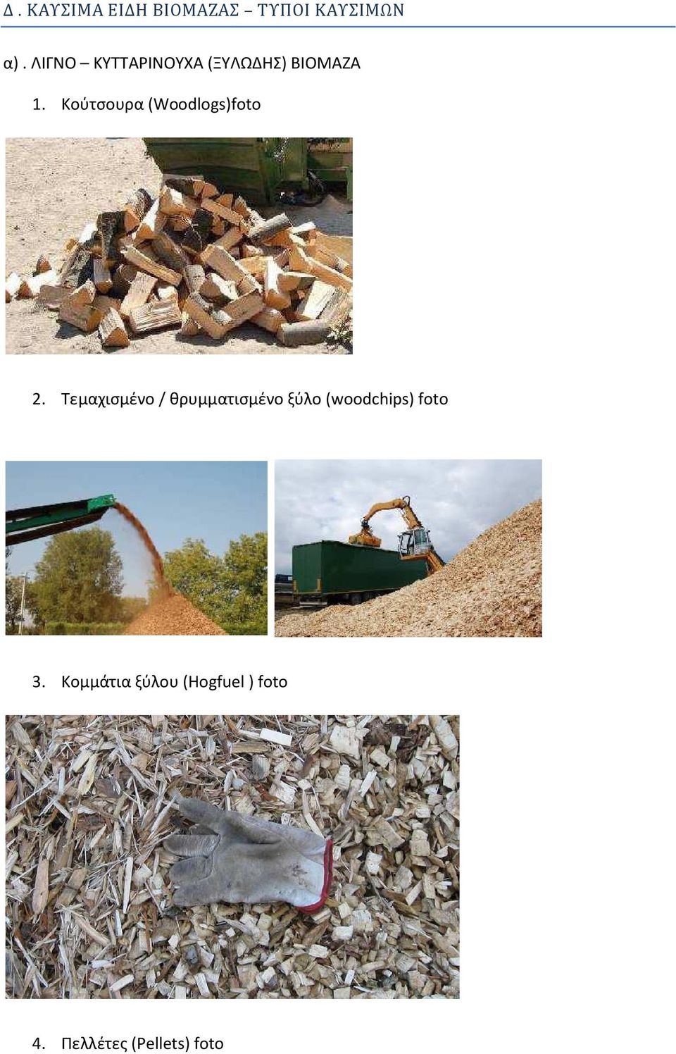 Κούτσουρα (Woodlogs)foto 2.