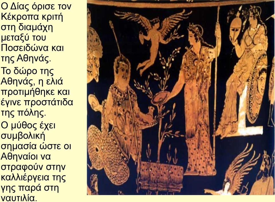 Το δώρο της Αθηνάς, η ελιά προτιμήθηκε και έγινε προστάτιδα της