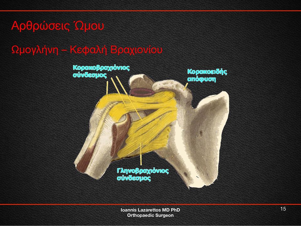 Ωμογλήνη