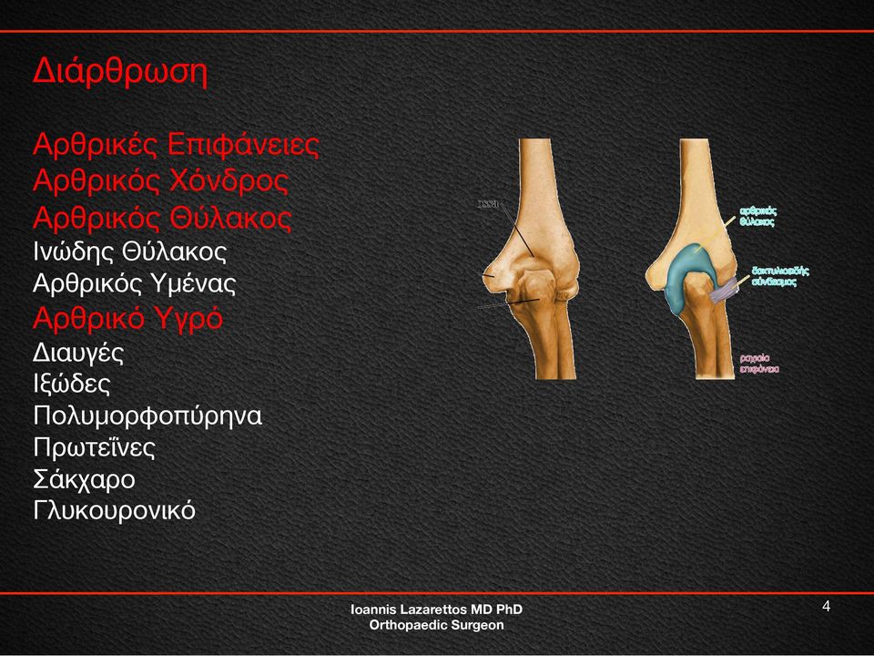 Συνδεσμολογία. Ioannis Lazarettos. MD PhD Orthopaedic Surgeon - PDF Free  Download