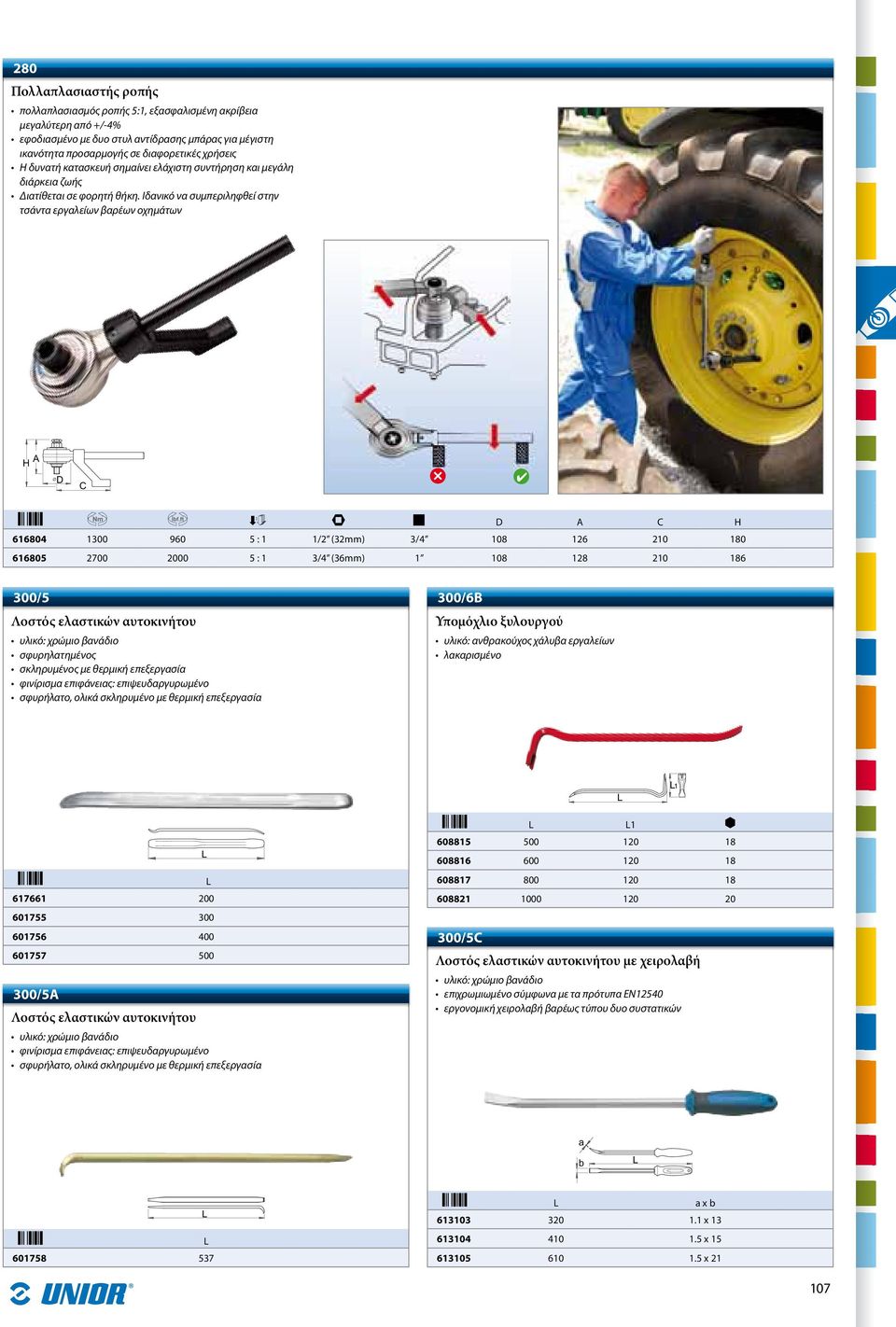 Ιδανικό να συμπεριληφθεί στην τσάντα εργαλείων βαρέων οχημάτων D A C H 616804 1300 960 5 : 1 1/2 (32mm) 3/4 108 126 210 180 616805 2700 2000 5 : 1 3/4 (36mm) 1 108 128 210 186 300/5 Λοστός ελαστικών