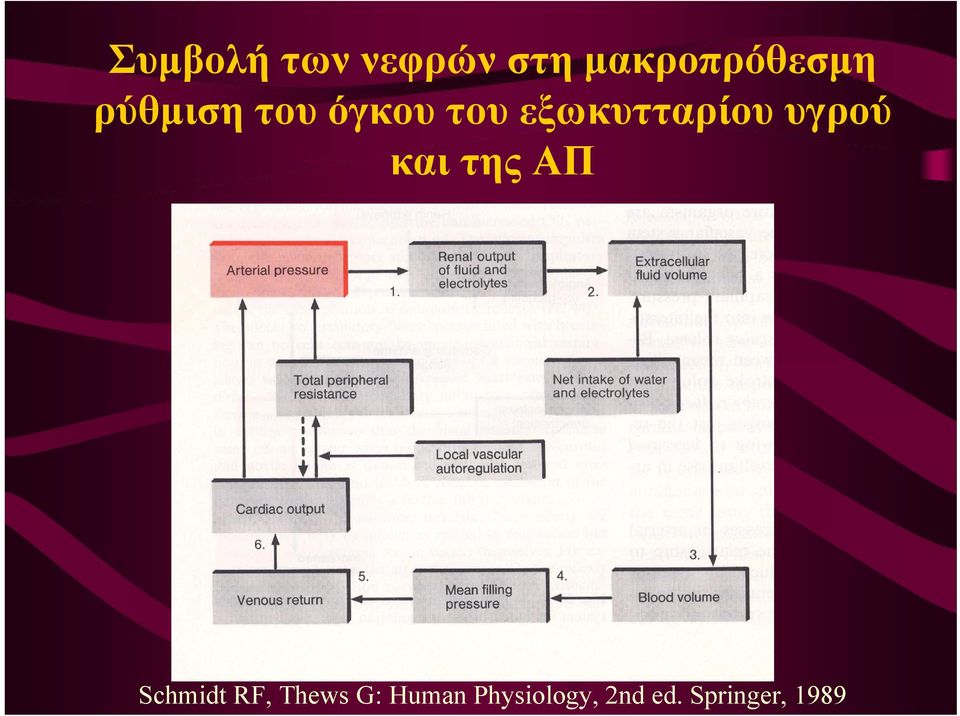 υγρού και της ΑΠ Schmidt RF, Thews G: