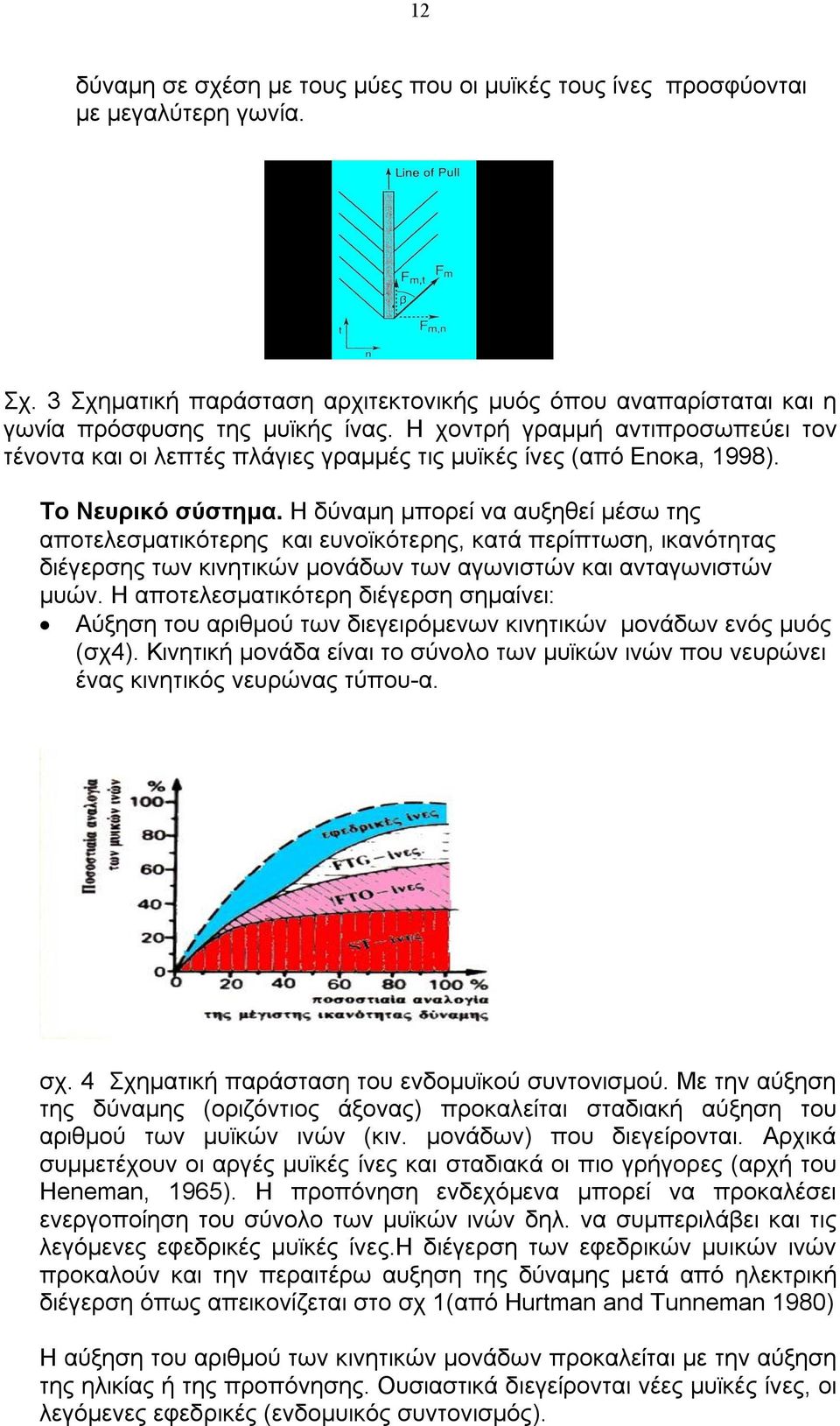 Η δύναμη μπορεί να αυξηθεί μέσω της αποτελεσματικότερης και ευνοϊκότερης, κατά περίπτωση, ικανότητας διέγερσης των κινητικών μονάδων των αγωνιστών και ανταγωνιστών μυών.