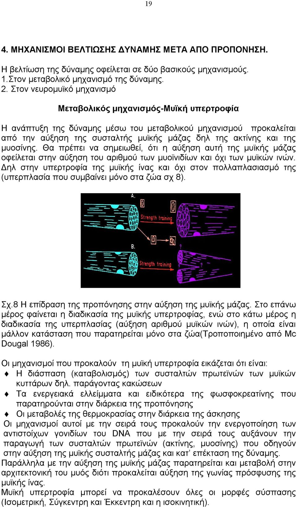 μυοσίνης. Θα πρέπει να σημειωθεί, ότι η αύξηση αυτή της μυϊκής μάζας οφείλεται στην αύξηση του αριθμού των μυοϊνιδίων και όχι των μυϊκών ινών.