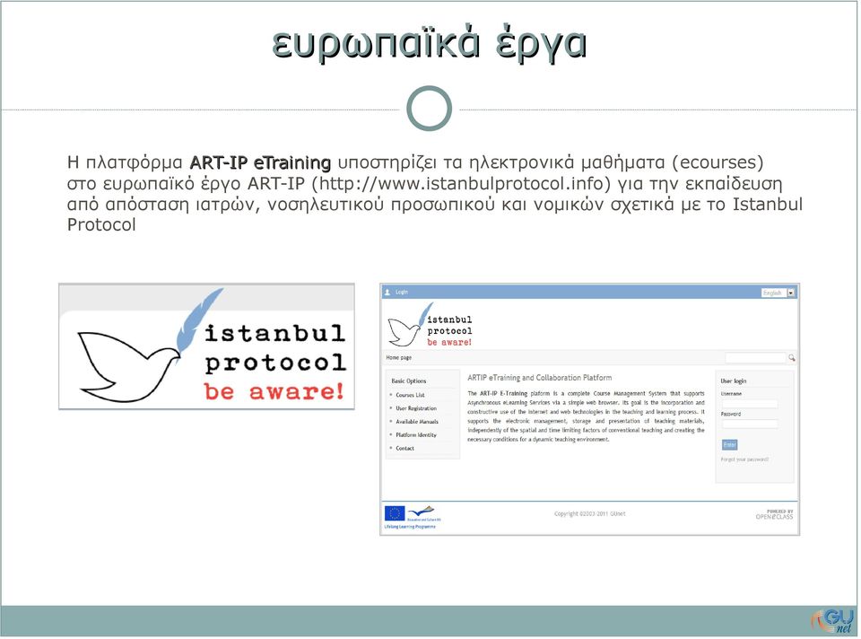 (http://www.istanbulprotocol.