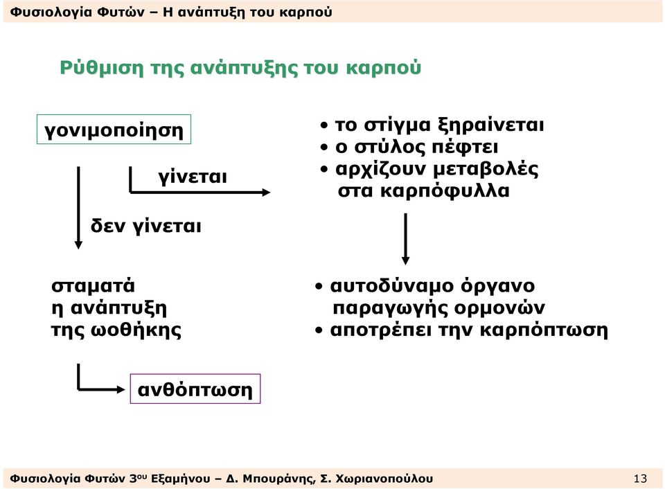 σταµατά ηανάπτυξη της ωοθήκης αυτοδύναµο όργανο παραγωγής ορµονών