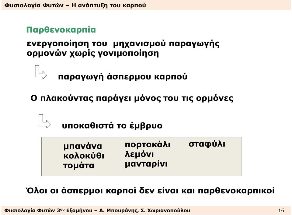 έµβρυο µπανάνα κολοκύθι τοµάτα πορτοκάλι λεµόνι µανταρίνι σταφύλι Όλοι οι άσπερµοι