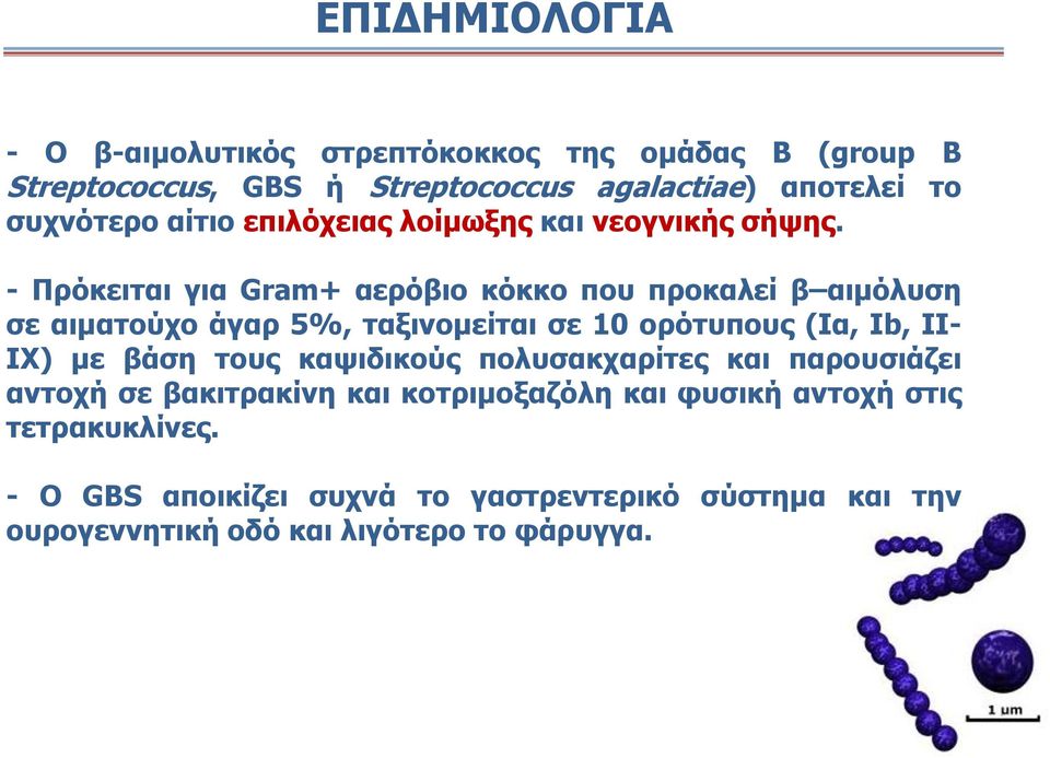 - Πρόκειται για Gram+ αερόβιο κόκκο που προκαλεί β αιμόλυση σε αιματούχο άγαρ 5%, ταξινομείται σε 10 ορότυπους (Ια, Ιb, II- IX) με βάση