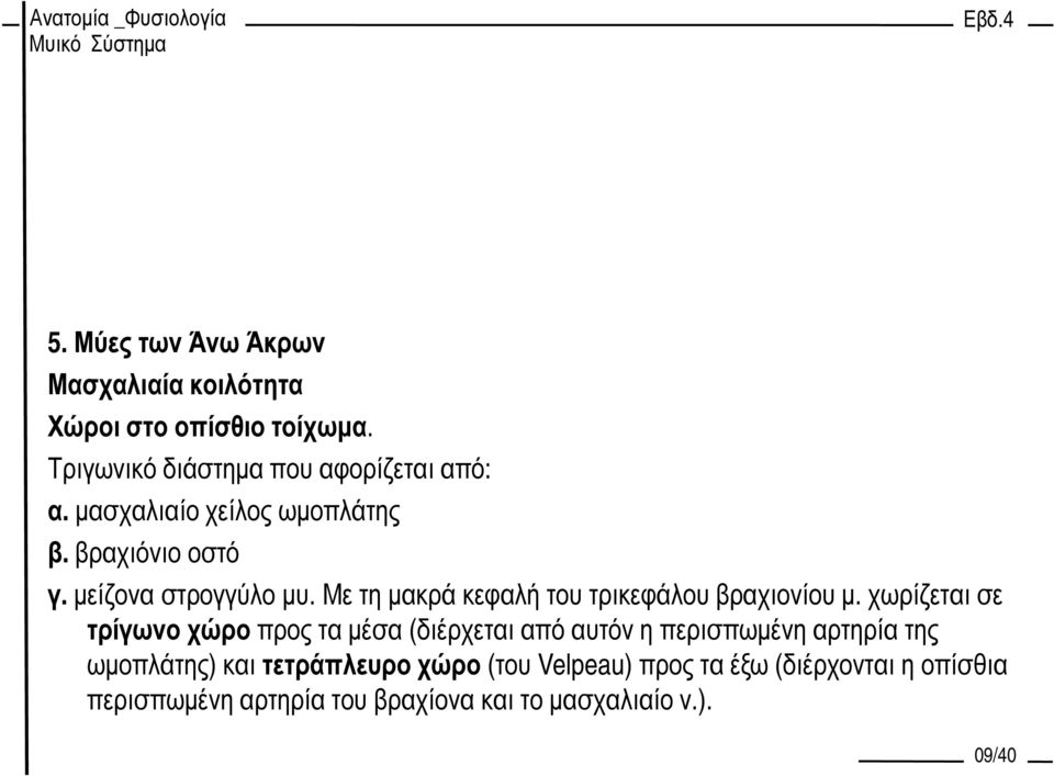 Με τη µακρά κεφαλή του τρικεφάλου βραχιονίου µ.