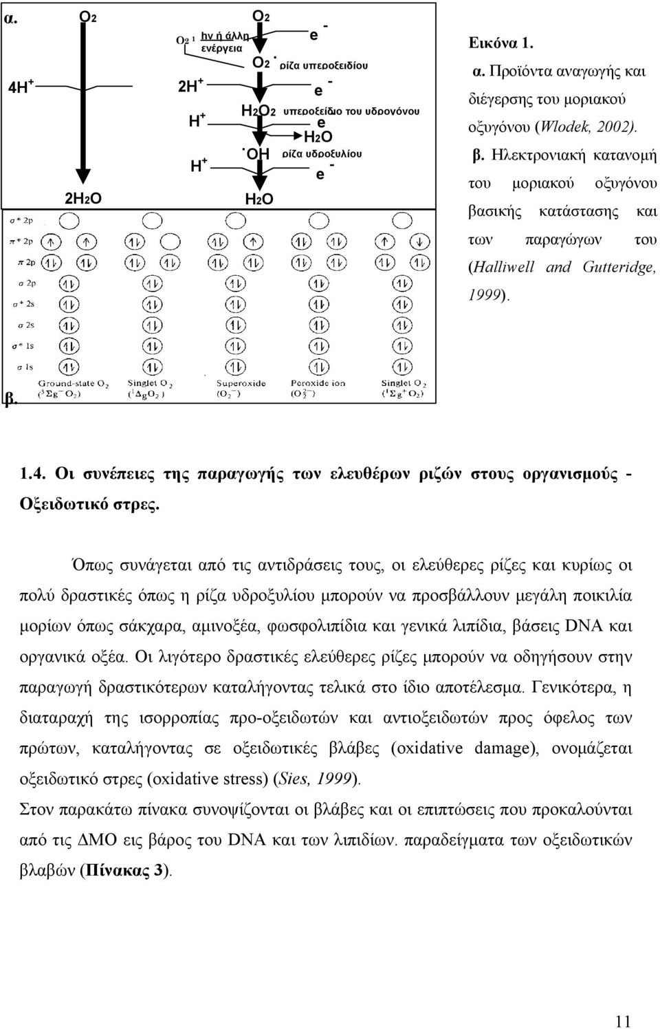 Οι συνέπειες της παραγωγής των ελευθέρων ριζών στους οργανισμούς - Οξειδωτικό στρες.