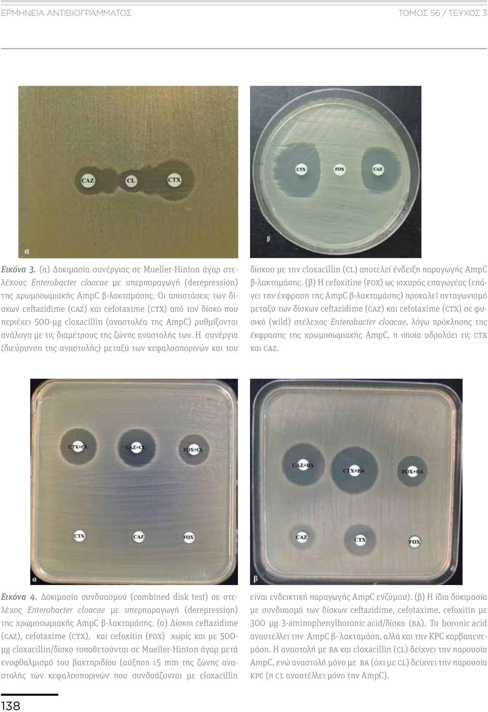 Οι αποστάσεις των δίσκων ceftazidime (CAZ) και cefotaxime (CTX) από τον δίσκο που περιέχει 500-µg cloxacillin (αναστολέα της AmpC) ρυθμίζονται ανάλογα με τις διαμέτρους της ζώνης αναστολής των.