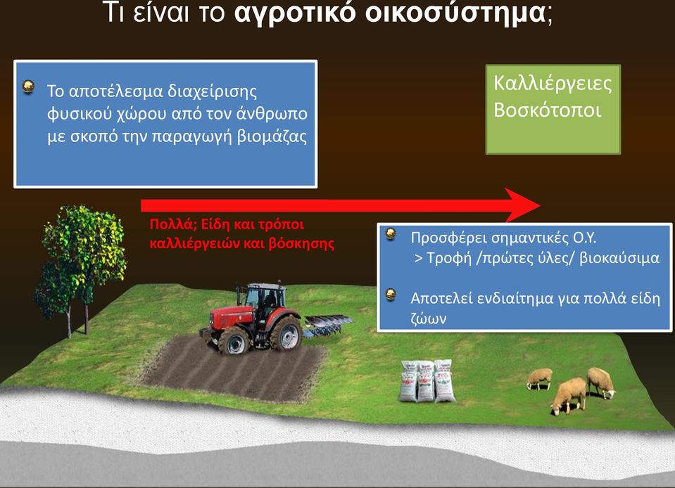 Βοσκότοποι Πολλά; Είδη και τρόποι καλλιέργειών και βόσκησης Προσφέρει