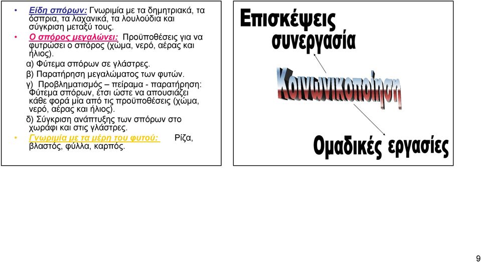 β) Παρατήρηση μεγαλώματος των φυτών.