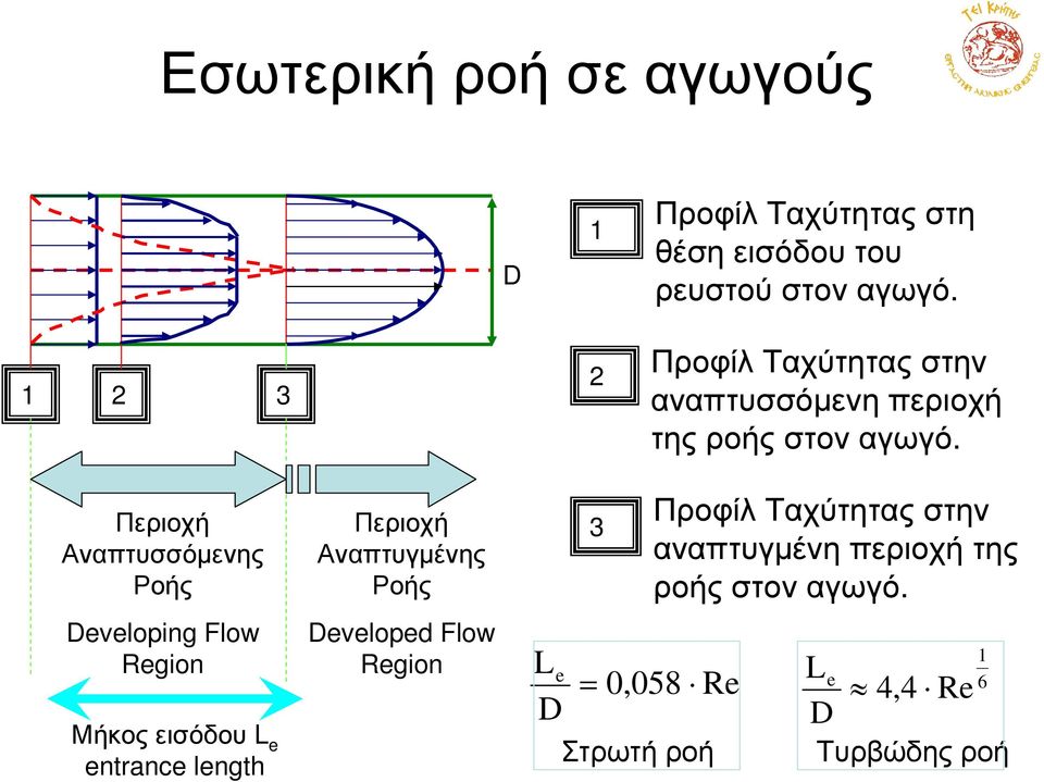 Περιοχή Αναπτυσσόµενης Ροής Developing Flow Region Μήκοςεισόδου L e entrance length Περιοχή Αναπτυγµένης