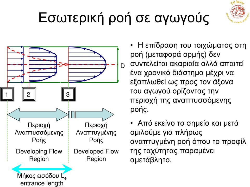 Περιοχή Αναπτυσσόµενης Ροής Developing Flow Region Περιοχή Αναπτυγµένης Ροής Developed Flow Region